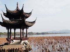 -茅家埠
