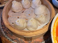 -石锅先生