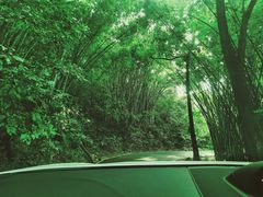 -广州市帽峰山景区