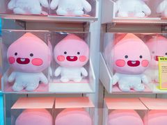 -KAKAO FRIENDS(弘大店)