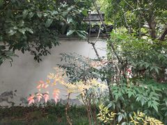 -秋霞圃