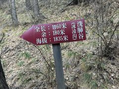 -苏木山森林公园