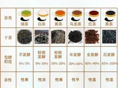 -叶大兴炖肉胡辣汤(滨湖路店)
