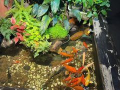 -隐炉和牛烧肉店(群力店)