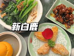 -新白鹿餐厅(京基KK ONE店)