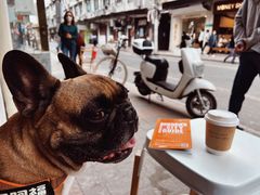 -Cafe del Volcan(永康路店)