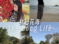 -东莞植物园