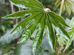 -杭州城北体育公园