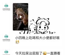 -佳雯宠物医院(四明中路分院)