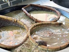 -小杨翘脚牛肉