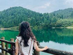 -武陵山森林公园