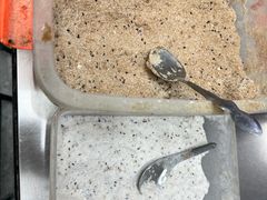 -老胡甜汤(龙眼店)