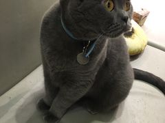 -小时光咖啡馆(开森度假森林店)