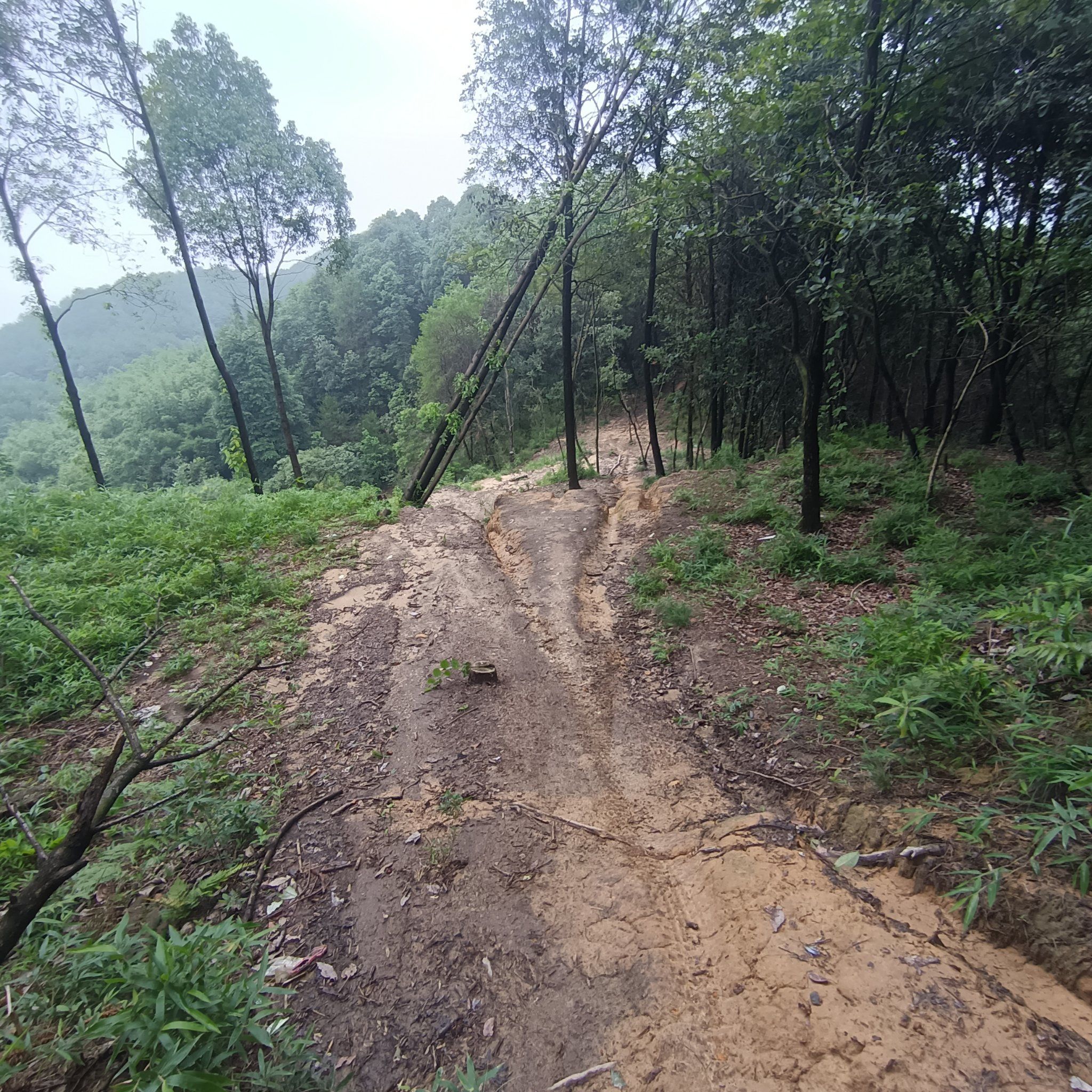 曲折山路