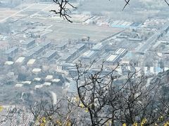 -北京西山国家森林公园