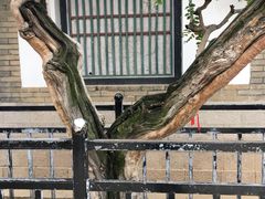-牟氏庄园
