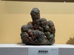 -湖南省地质博物馆