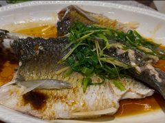 清蒸山坑允-丰尔粥食·粥底火锅·桑拿鸡(大良总店)