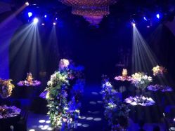 -四叶草环球旅拍