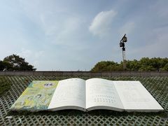 -观潮胜地公园