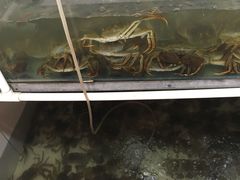 水产区-小陆莲花蟹园农家乐(莲花岛店)