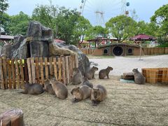 -上海野生动物园