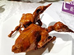 -琬苑鸽庄·川粤融合菜(解放碑总店)