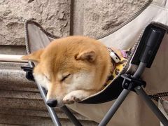 -HANA COFFEE(长寿路店)