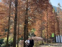 -广州市石门国家森林公园