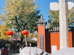 -北京石刻艺术博物馆(五塔寺)