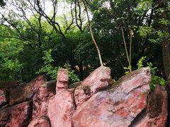 -热带风暴水上乐园(新镇路)