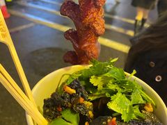 -黑色经典臭豆腐·湖南特产(潇湘文化店)