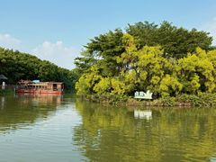 -大湾区中央湿地公园