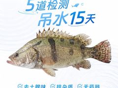 -盒马鲜生(宝地店)