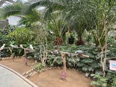 -南宫五洲植物乐园