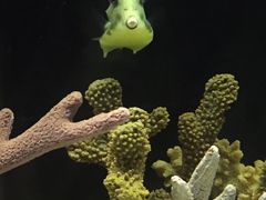 -上海海洋水族馆