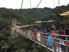 -九龙江国家森林公园