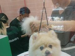 -FAELING PETS美天灵宠物(合生汇店)