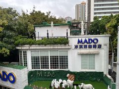 -MADO冰淇淋咖啡馆(淘金店)