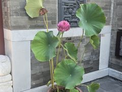 -李叔同故居纪念馆