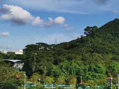 -白石龙音乐公园
