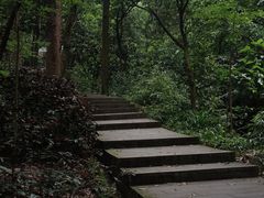 -火炉山森林公园