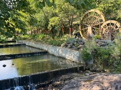 -广州白江湖森林公园