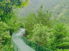 -龙井峡漂流