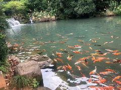 -兰溪地下长河