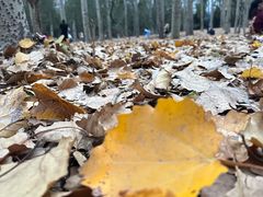 -森林公园(尖草坪区)