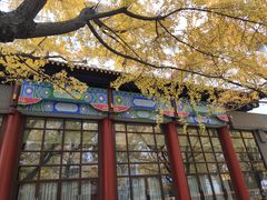 -四川大学(华西校区)