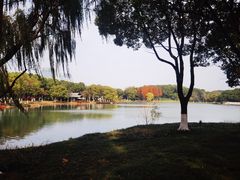 -新洲生态园