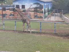 -西安秦岭野生动物园
