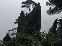 -黄山风景区